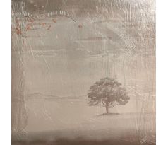 Genesis – Wind & Wuthering / LP Vinyl album