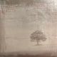 Genesis – Wind & Wuthering / LP Vinyl album