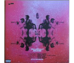 R+R=Now - Collagically Speaking / 2LP Vinyl