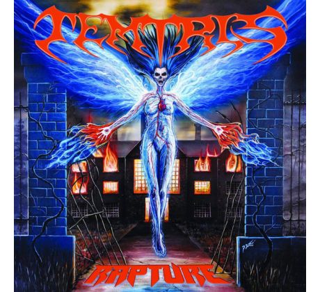 Temtris - Rapture (CD) Audio CD album