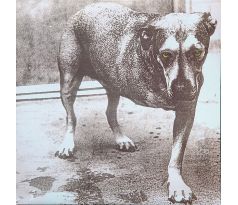 Alice In Chains - Alice In Chains - Orange Vinyl / 2LP Vinyl