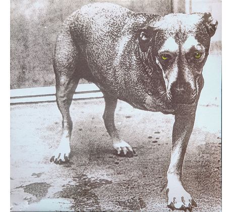 Alice In Chains - Alice In Chains - Orange Vinyl / 2LP Vinyl