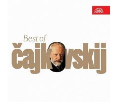 Čajkovskij Petr Iljič - Best Of Čajkovskij (CD) audio CD album