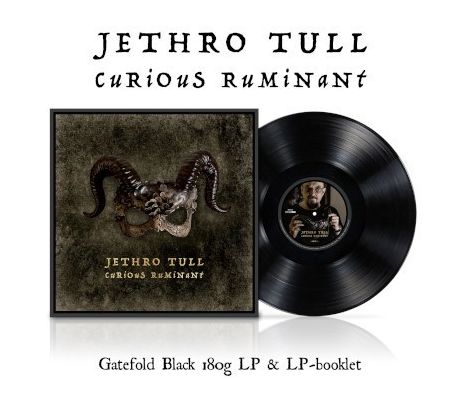 Jethro Tull - Curious Ruminant (2025) / LP Vinyl