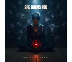 She Burns Red - Out Of Darkness /Black Vinyl/ LP Vinyl album