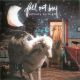 Fall Out Boy - Infinity On High (CD) Audio CD album