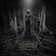Black Hole Constellation - Garden Of Deception Delights / Transparent Gold / LP Vinyl LP album