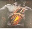 End - The Sin Of Human Frailty (CD) Audio CD album