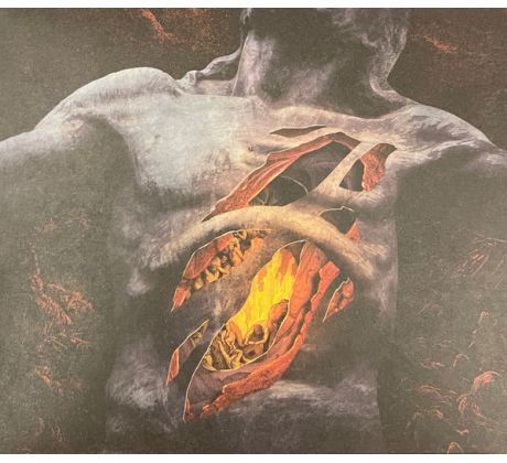 End - The Sin Of Human Frailty (CD) Audio CD album