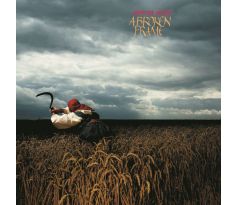 Depeche Mode - A Broken Frame / LP Vinyl