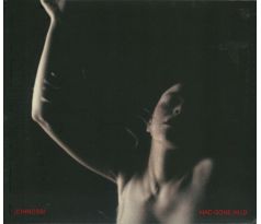 Johnossi - Mad Gone Wild (CD) Audio CD album