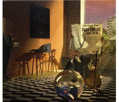 Melt Yourself Down - Pray For Me I Don´t Fit In (CD) Audio CD album