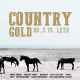 V.A. - Country Gold 60. a 70. léta - české country (2CD) audio CD album