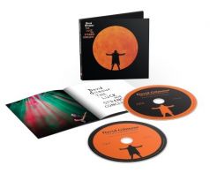 Gilmour David - Luck And Strange Concerts (2CD) Audio CD album