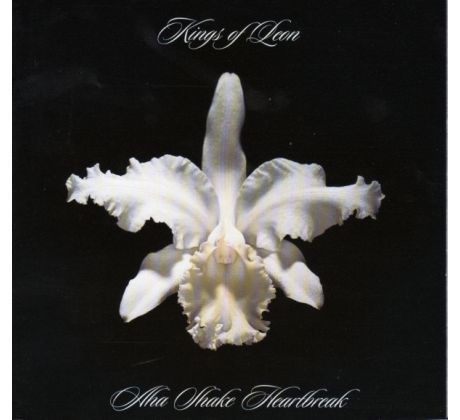 Kings Of Leon - Aha Shake Heartbreak (CD)