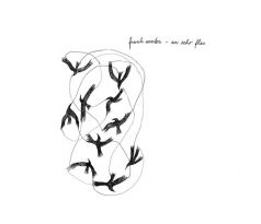 Winter Frank - An Echo Flies (CD) audio CD album