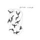 Winter Frank - An Echo Flies (CD) audio CD album