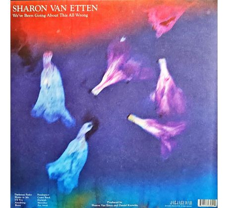 Van Etten Sharon - We´ve Been Going About This All Wrong - Black Vinyl (LP) Vinyl album