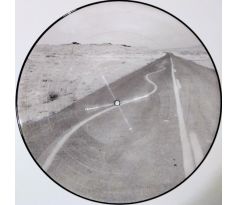 Manic Street Prechers - Critical Thinking - Limited Edition Picture Disc (LP) Vinyl album