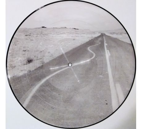 Manic Street Prechers - Critical Thinking - Limited Edition Picture Disc (LP) Vinyl album