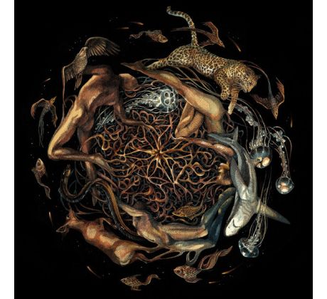 Selcouth - Heart Is The Star Of Chaos (CD) audio CD album