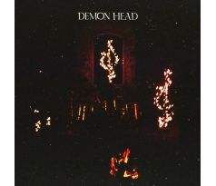 Demon Head - Through Holes Shine The Stars - Transparent Violet Vinyl (LP) Vinyl album