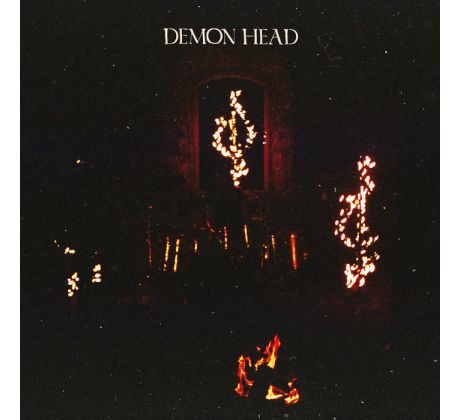 Demon Head - Through Holes Shine The Stars - Transparent Violet Vinyl (LP) Vinyl album