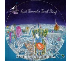 Hammel Pavol & Prúdy - Stretnutie S Tichom (LP) Vinyl album