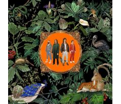 Don Broco - Amazing Things (CD) Audio CD album