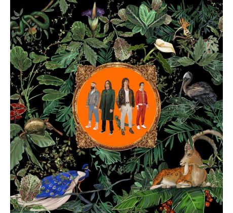 Don Broco - Amazing Things (CD) Audio CD album
