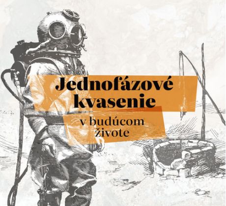 Jednofázové Kvasenie - V Buducom Živote (CD)