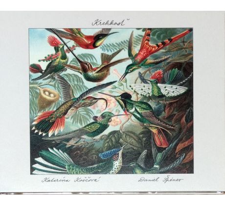 Koščová Katarína + Špiner Daniel - Krehkosť (CD) audio CD album