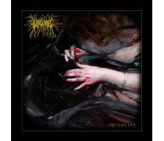 Lascar - Wildlife  (CD)